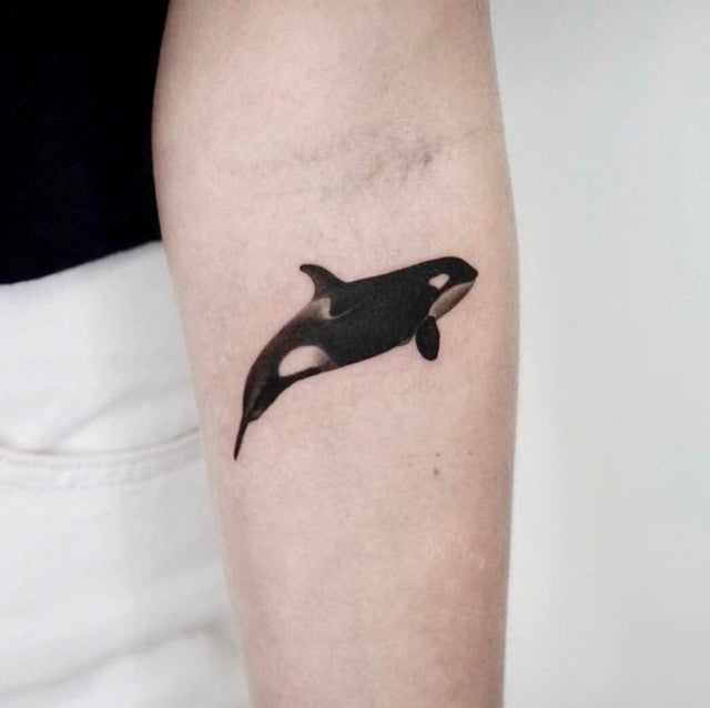 12 Eye Catching And Amazing Whale Tattoo Ideas