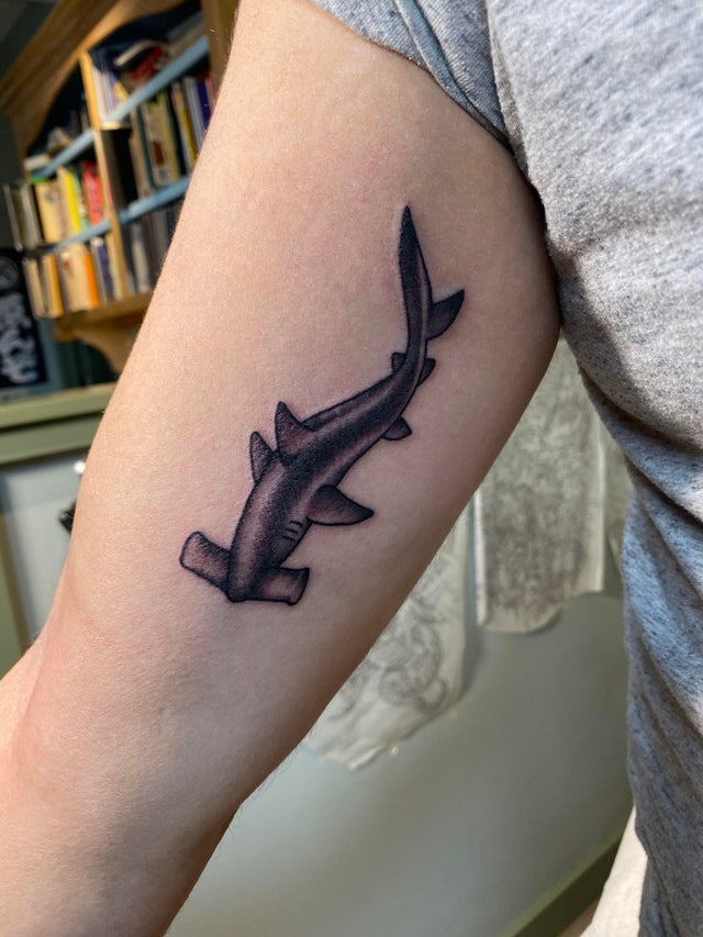 Traditional shark tattoo on the upper arm