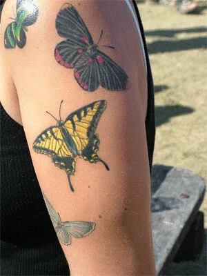 Moth Tattoo tattoosluv